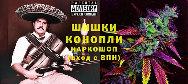 тгк Новозыбков
