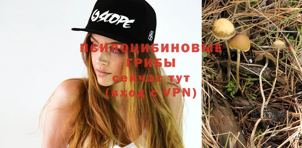 мяу мяу кристалл Нягань
