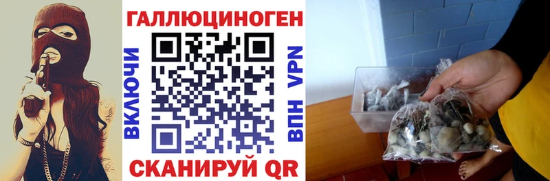 Псилоцибиновые грибы мухоморы  наркошоп  Новотроицк 